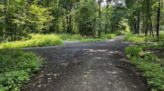 Ein regelmäßiger, fünfstrahliger Stern wie hier im Niederwald bei Fehlheim war als Mittelpunkt bei den höfischen Parforcejagden im 17. und 18. Jahrhundert beliebt.