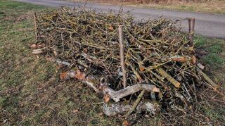 Eine Totholzhecke biete vielen Insekten und Kleintieren einen Lebensraum und einen Unterschlupf für die kalten Tage. Sie kann zudem als Sichtschutz fungieren.