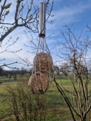 Bei den Futterstellen sind der Kreativität keine Grenzen gesetzt – ein alter Schneebesen hat eine neue Funktion erhalten.