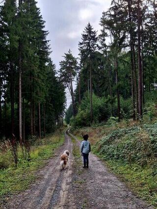 Ein Familienspaziergang im Odenwald.