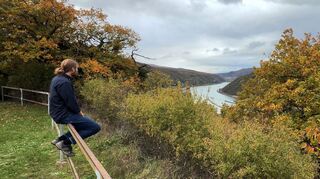 Laut dem Lagebild zur häuslichen Gewalt des Bundeskriminalamts (BKA) waren vergangenes Jahr rund 70 Prozent der Betroffenen weiblich und gut 30 Prozent männlich.