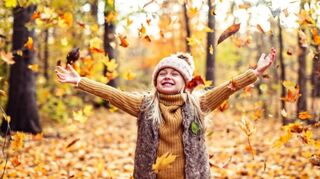 Im Wald ist es zu jeder Jahreszeit schön, aber in der Herbstsonne leuchtet er geradezu magisch.