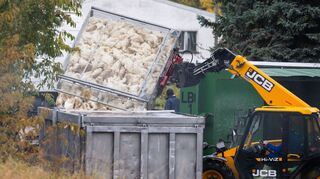 Unzählige Gänse und Enten mussten aufgrund des Vogelgrippe-Ausbruchs in Agrarbetrieben bereits getötet werden.  (Archivbild)