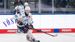 Mannheims Maximilian Heim.