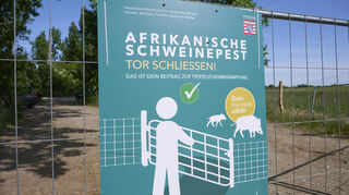 An der Maulbeeraue warnt ein Schild vor der Afrikanischen Schweinepest. Tierschützer befürchten, dass Hochwasser hier tödliche Folgen haben können.