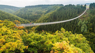 Der Nationalpark Hunsrück-Hochwald mit der schönsten Hängeseilbrücke Deutschlands, die Geierlay-Hängeseilbrücke. Die Hängeseilbrücke zwischen Mörsdorf und Sosberg begeistert mit einer Länge von 360 Metern und 100 Metern Höhe über dem Bachtal.