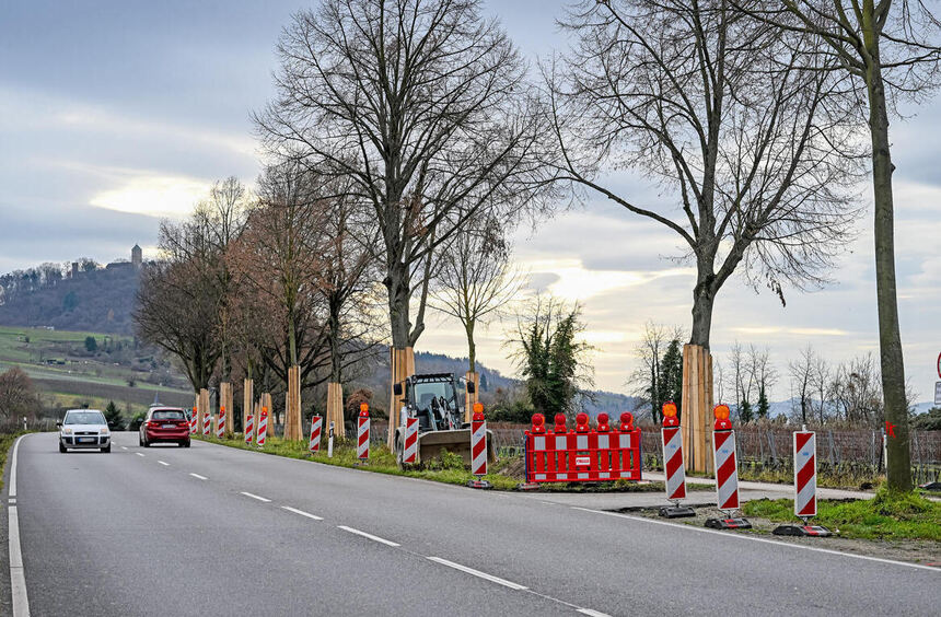 Work on the cycle path between Bensheim and Heppenheim continues