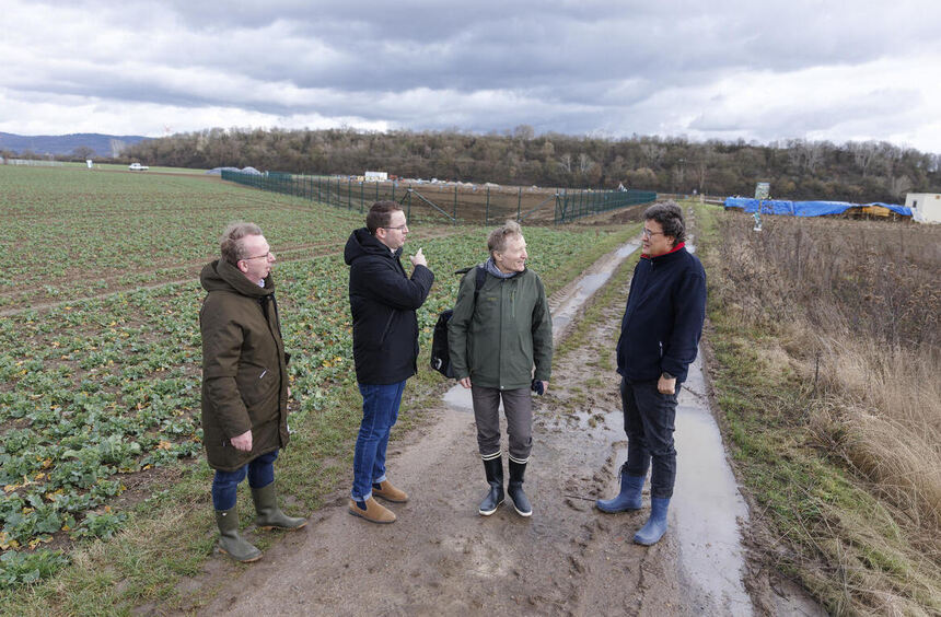 Solarpark in Viernheim soll im Mai ans Netz gehen