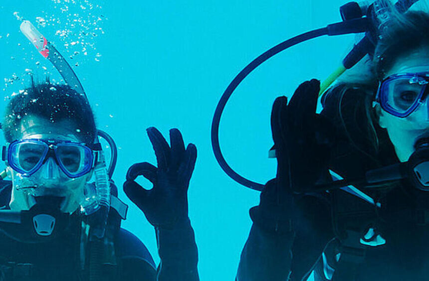 Neue Attraktion beim Rhein-Neckar-Zentrum in Viernheim: „Dive Hub“ ...