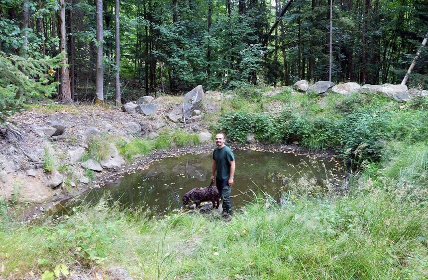 The Heppenheim city forest is recovering after several years of drought
