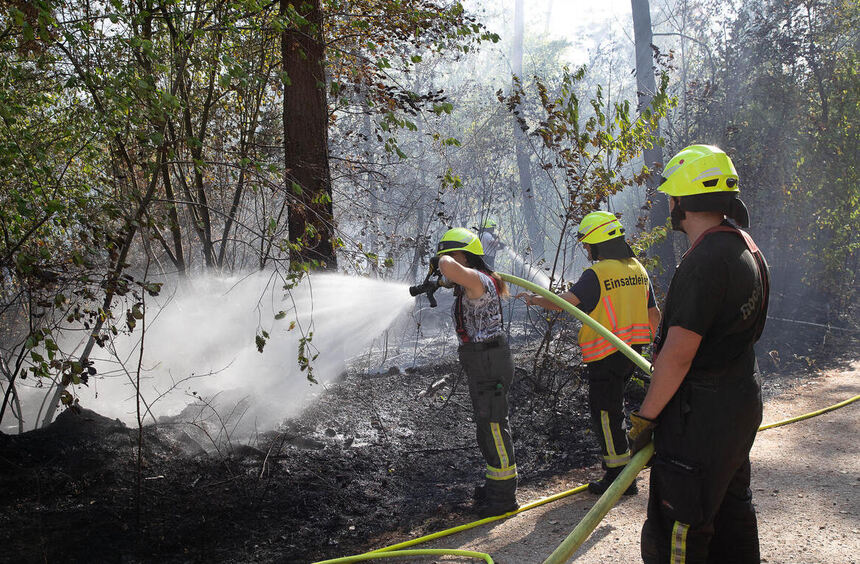 Waldbrandgefahr: Welche Regeln jetzt gelten und was Forstbesucher wissen ...