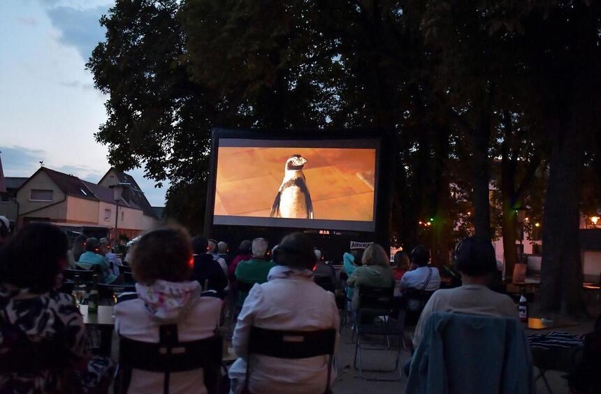 Open-air cinema season in Heppenheim starts on August 5