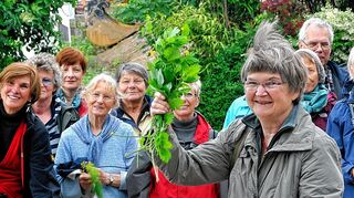 <p>Die Apothekerin Edda Fürst hat ein umfangreiches herbarisches Archiv im Kopf - am Samstag führt sie die Teilnehmer einer Arzneipflanzenexkursion.</p>