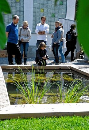<p>Ob Teich oder Flaschenkunst: Die Lorscher Gärten lockten mit ihrer Vielfalt.</p>