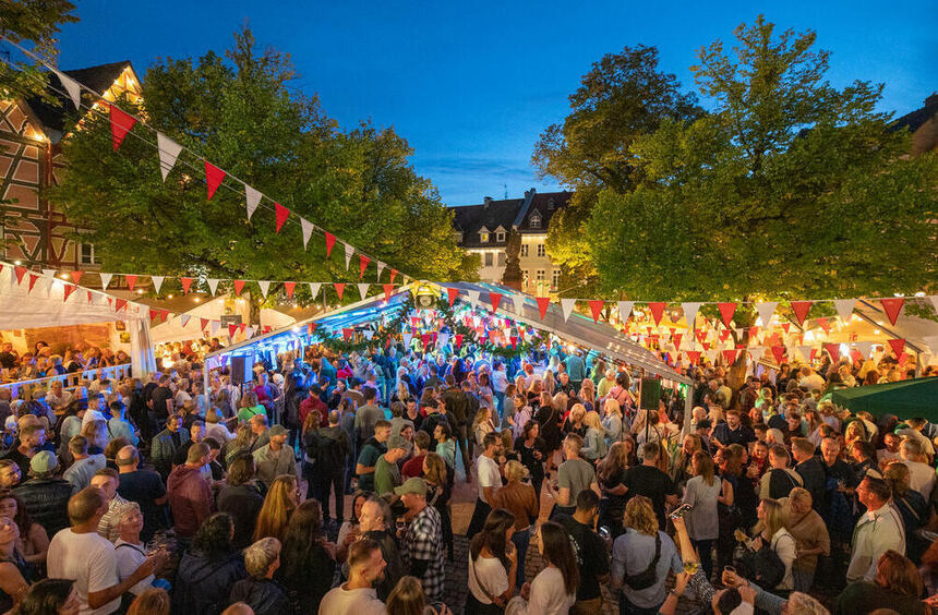 Wine Festival 2026: Everything about the program, travel, and parking in ...
