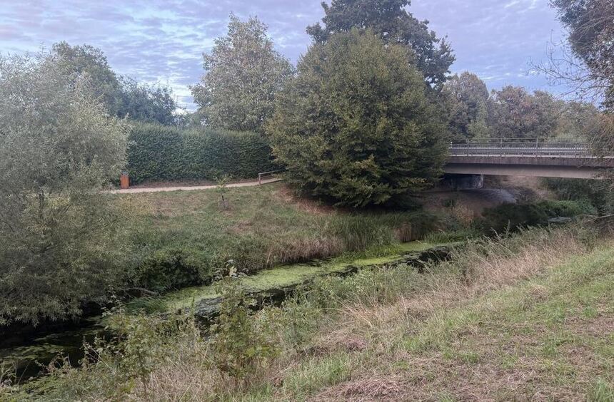 Neue Hundebadestelle in Einhausen soll sensible Bereiche der Weschnitz ...