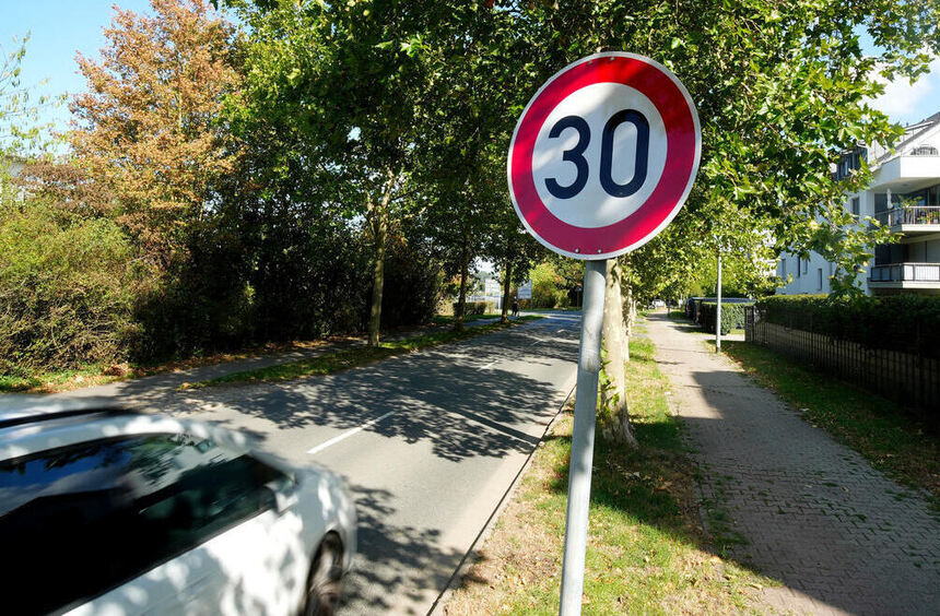 Auf der Platanenallee in Zwingenberg gilt jetzt Tempo 30