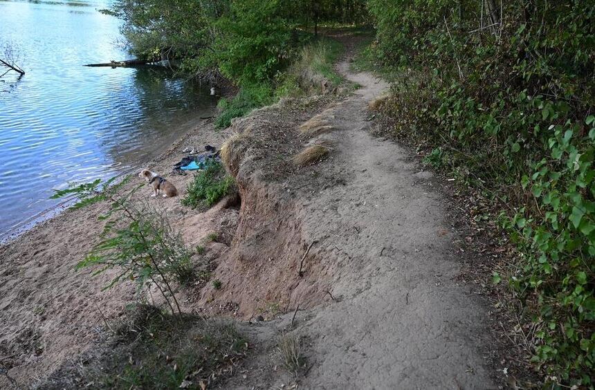 How the Niederwaldsee is being destroyed piece by piece