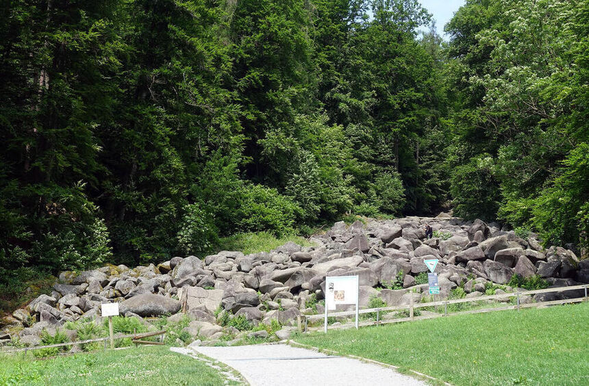 New trail concept intended to protect the forest at the Felsenmeer in ...