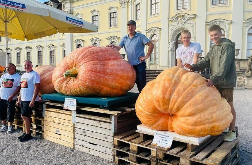 German Championship: 986-kilogram pumpkin giant from Einhausen beats them ...