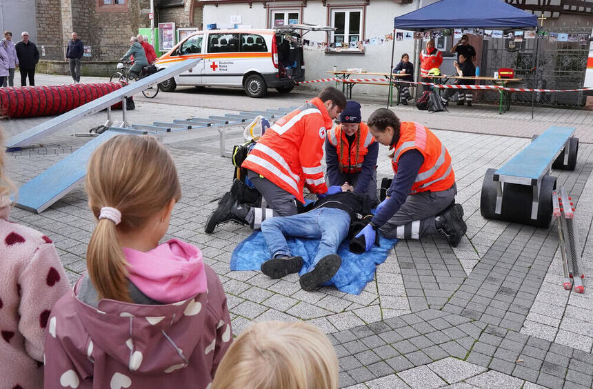 First aid and four-legged helpers: This was on display at the German Red ...